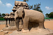 Mamallapuram - Tamil Nadu. The five Rathas. Elephant carved  from a single stone. 
